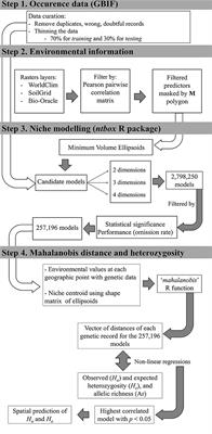 Reduction of Genetic Variation When Far From the Niche Centroid: Prediction for Mangrove Species